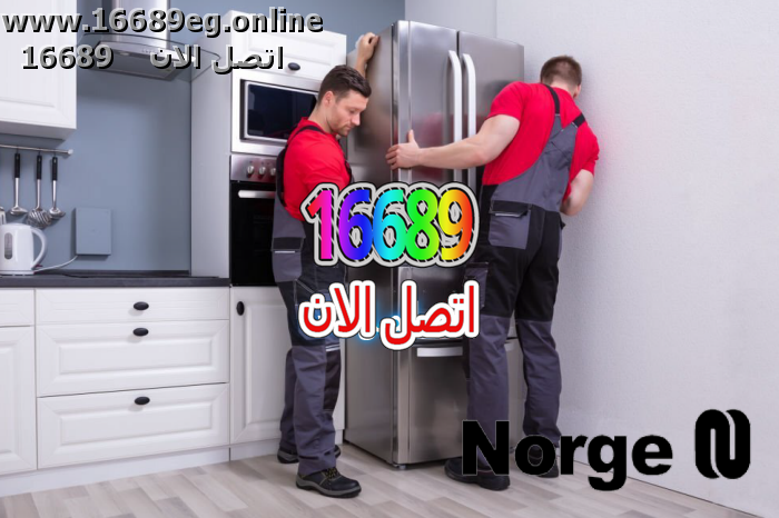 صيانة ثلاجات نورج