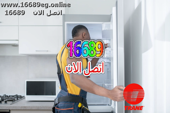 صيانة ديب فريزر ترين