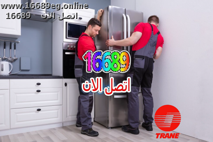 صيانة ثلاجات ترين