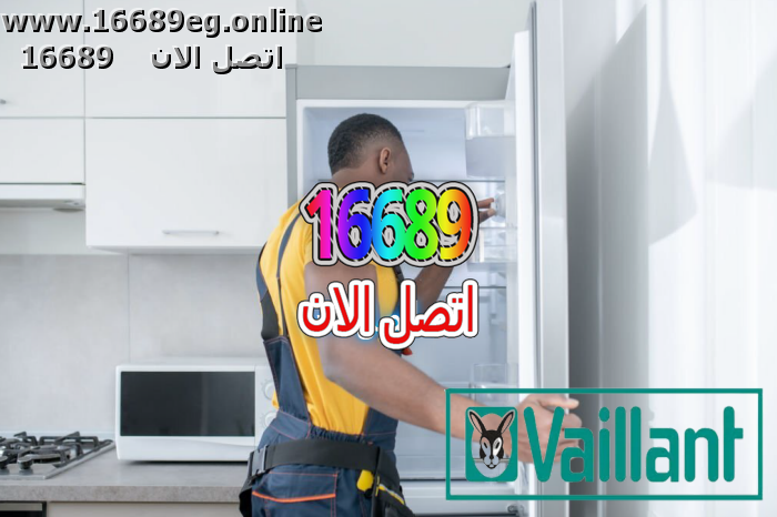 صيانة ديب فريزر فايلنت